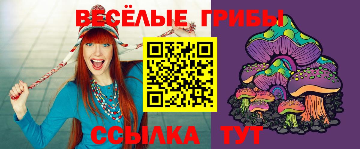 Псилоцибиновые грибы Psilocybe Реж