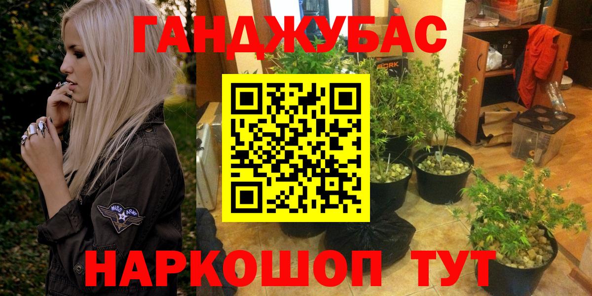 Конопля SATIVA & INDICA  Каннабис планчик  Бошки Шишки сатива  Каннабис White Widow  Реж  Вход с VPN 
